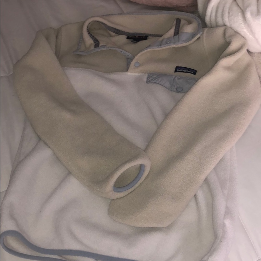 Patagonia Synchilla Sweater